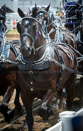 2016_Saratoga_SCL_5093