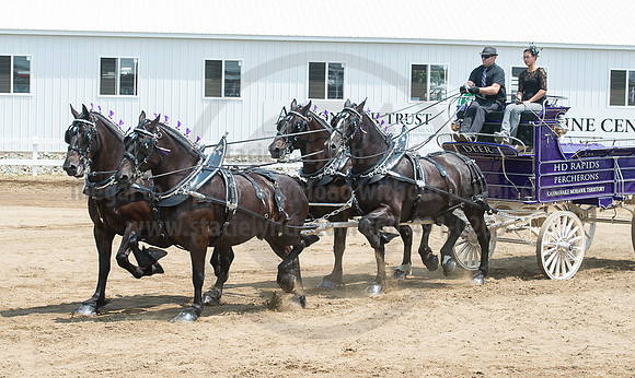 2016_Saratoga_SCL_5086