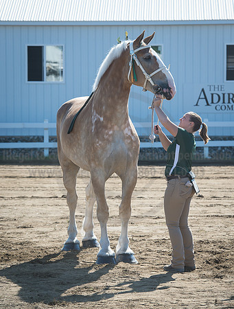 2016_Saratoga_SCL_4933