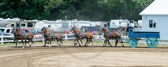 2016_Saratoga_SCL_4999