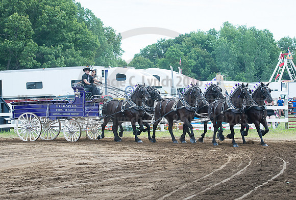 2016_Saratoga_SCL_4779