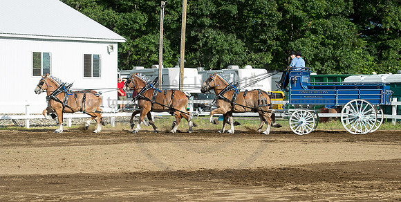 2016_Saratoga_SCL_4767