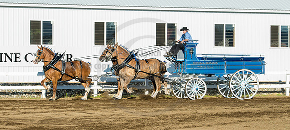 2016_Saratoga_SCL_4892