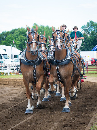 2016_Saratoga_SCL_4733