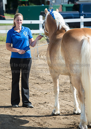 2016_Saratoga_SCL_4918