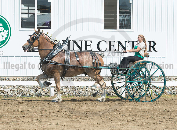2016_Saratoga_SCL_5200