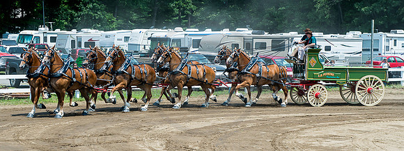 2016_Saratoga_SCL_4998