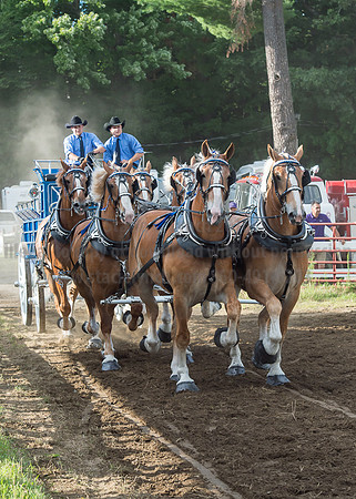 2016_Saratoga_SCL_4755