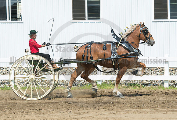 2016_Saratoga_SCL_5209