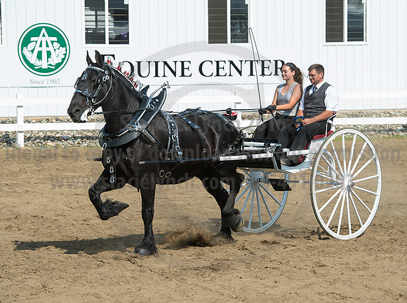 2016_Saratoga_SCL_5299