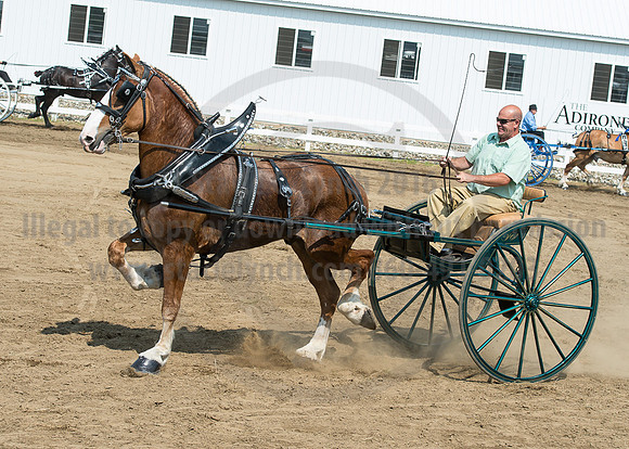 2016_Saratoga_SCL_5234