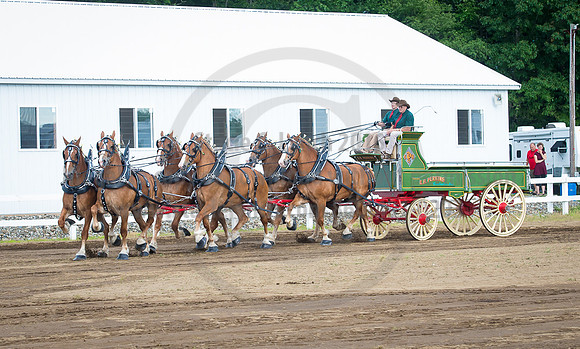 2016_Saratoga_SCL_4725