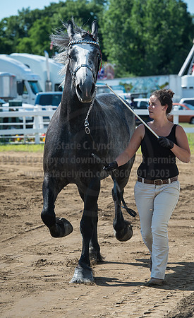 2016_Saratoga_SCL_4962