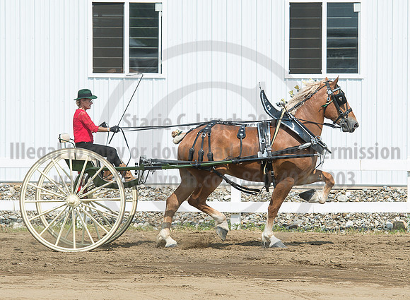 2016_Saratoga_SCL_5210