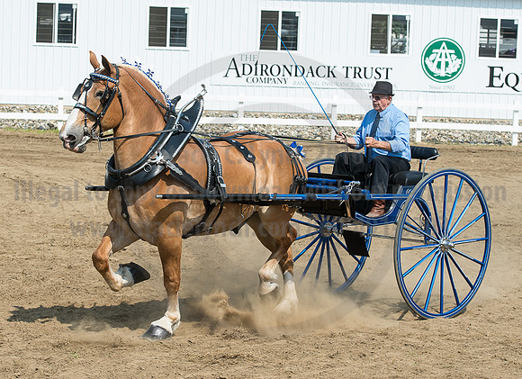 2016_Saratoga_SCL_5231