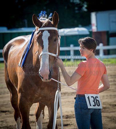 2016_Saratoga_SCL_4923