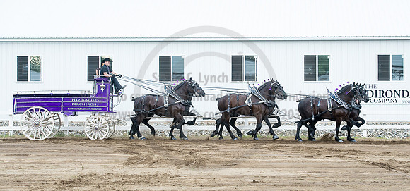 2016_Saratoga_SCL_4788