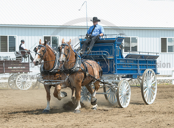 2016_Saratoga_SCL_5171