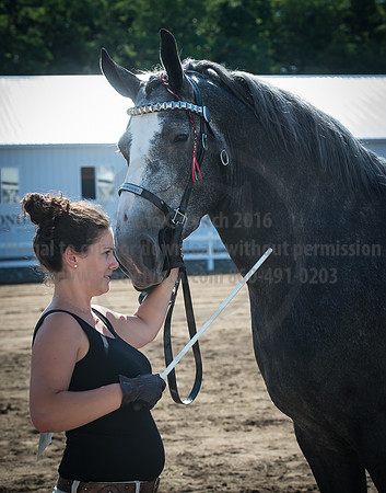 2016_Saratoga_SCL_4963