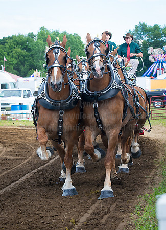 2016_Saratoga_SCL_4742