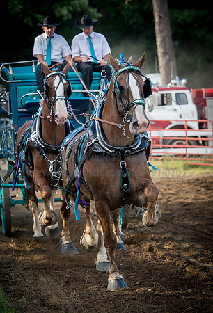 2016_Saratoga_SCL_4852