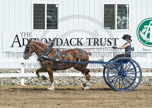 2016_Saratoga_SCL_5203
