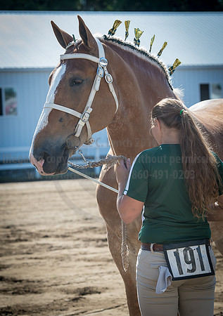 2016_Saratoga_SCL_4921