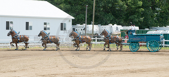 2016_Saratoga_SCL_4996