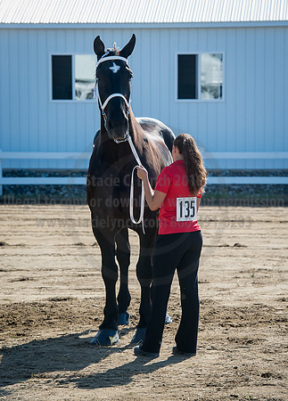 2016_Saratoga_SCL_4934