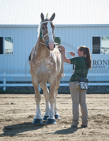 2016_Saratoga_SCL_4914