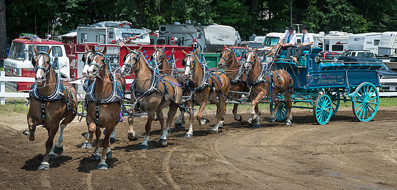 2016_Saratoga_SCL_5010