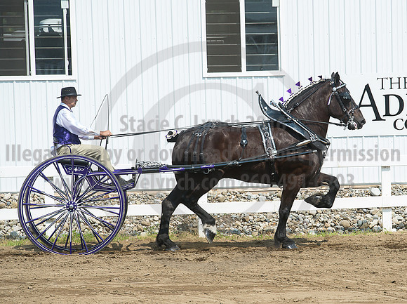 2016_Saratoga_SCL_5237