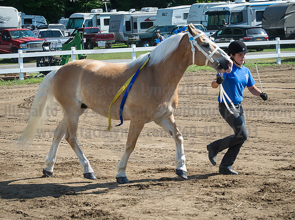 2016_Saratoga_SCL_4926