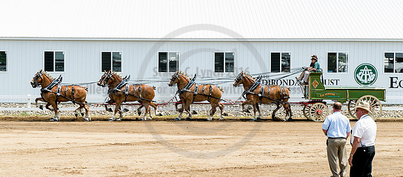 2016_Saratoga_SCL_5005