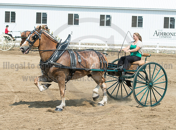 2016_Saratoga_SCL_5208