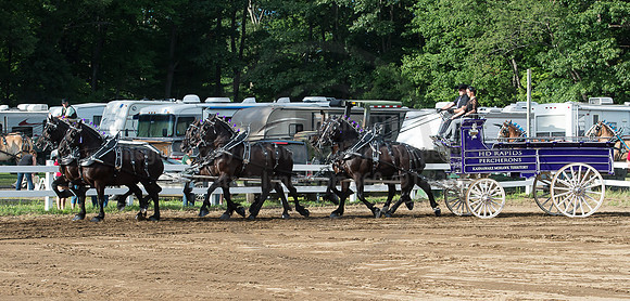2016_Saratoga_SCL_4763