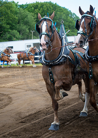 2016_Saratoga_SCL_4739