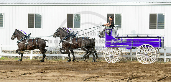 2016_Saratoga_SCL_4857
