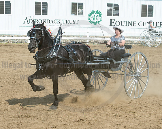 2016_Saratoga_SCL_5264