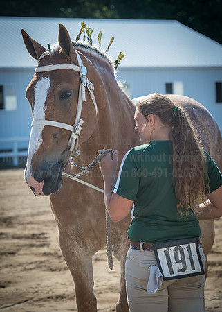 2016_Saratoga_SCL_4920
