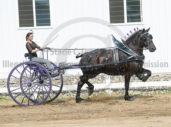 2016_Saratoga_SCL_5266