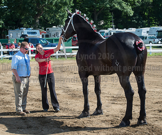 2016_Saratoga_SCL_4930