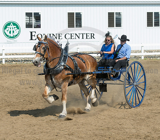 2016_Saratoga_SCL_5289