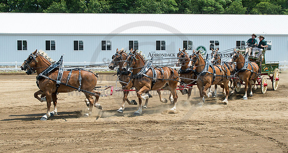 2016_Saratoga_SCL_5014