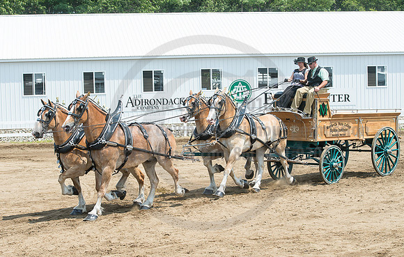 2016_Saratoga_SCL_5115