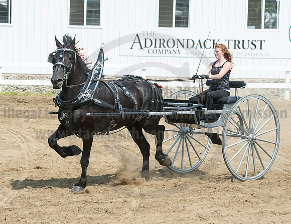 2016_Saratoga_SCL_5189