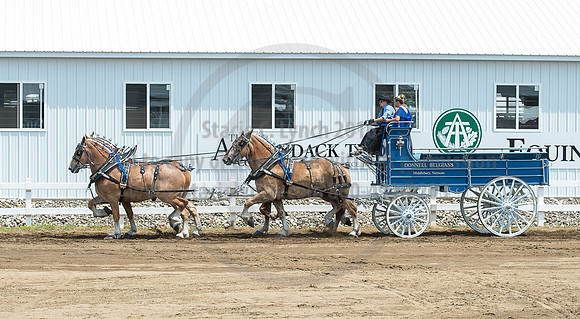 2016_Saratoga_SCL_5084