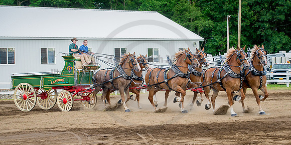 2016_Saratoga_SCL_4836
