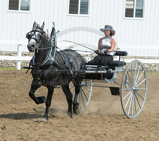 2016_Saratoga_SCL_5259