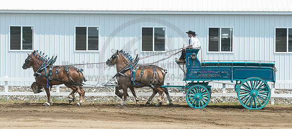 2016_Saratoga_SCL_5109